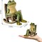 FOXMIS Miniature Frog Garden Statue Gifts Fall Halloween Decorations Fairy Garden Accessories Outdoor Lights Solar Garden Frog Decor Art Housewarming Gift for Patio,Yard,Lawn Ornament,3.89"x2.36"x3.93